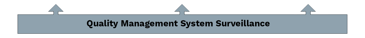 Quality Management System Surveillance
